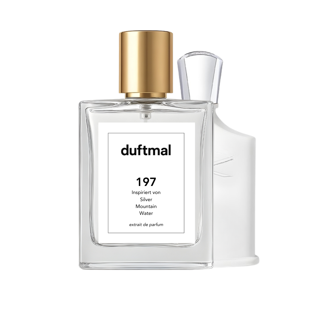 Silver Mountain Water