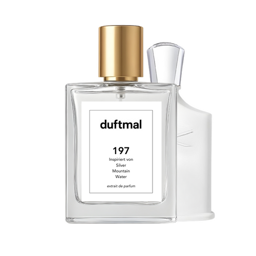 Silver Mountain Water